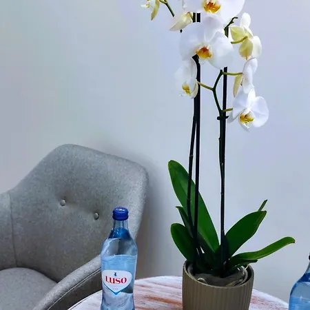 Luso Village Boutique Hotel 2* Luso (Mealhada)