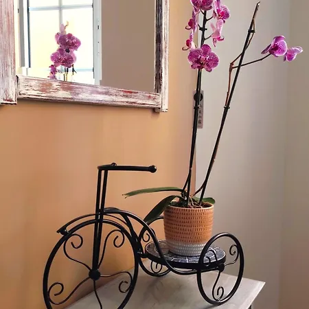 Village Boutique Luso (Mealhada)