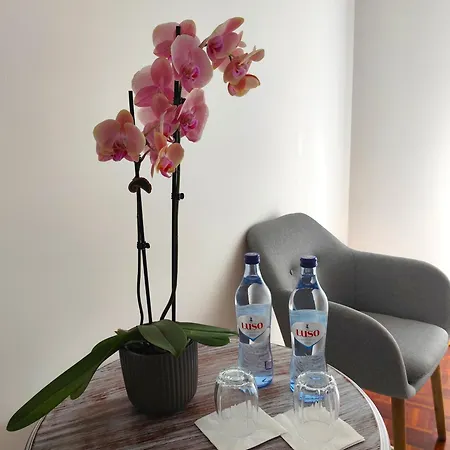 Hotel Luso Village Boutique 2*