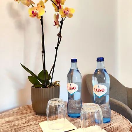 Hotel Luso Village Boutique Hotel 3*