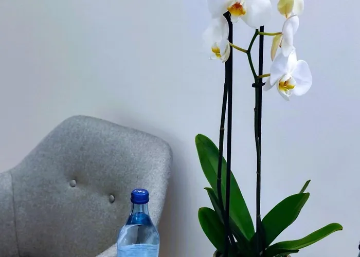 Village Boutique 2* Luso (Mealhada)