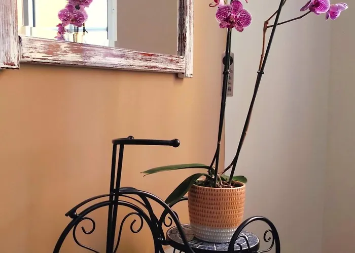 Village Boutique Luso (Mealhada)